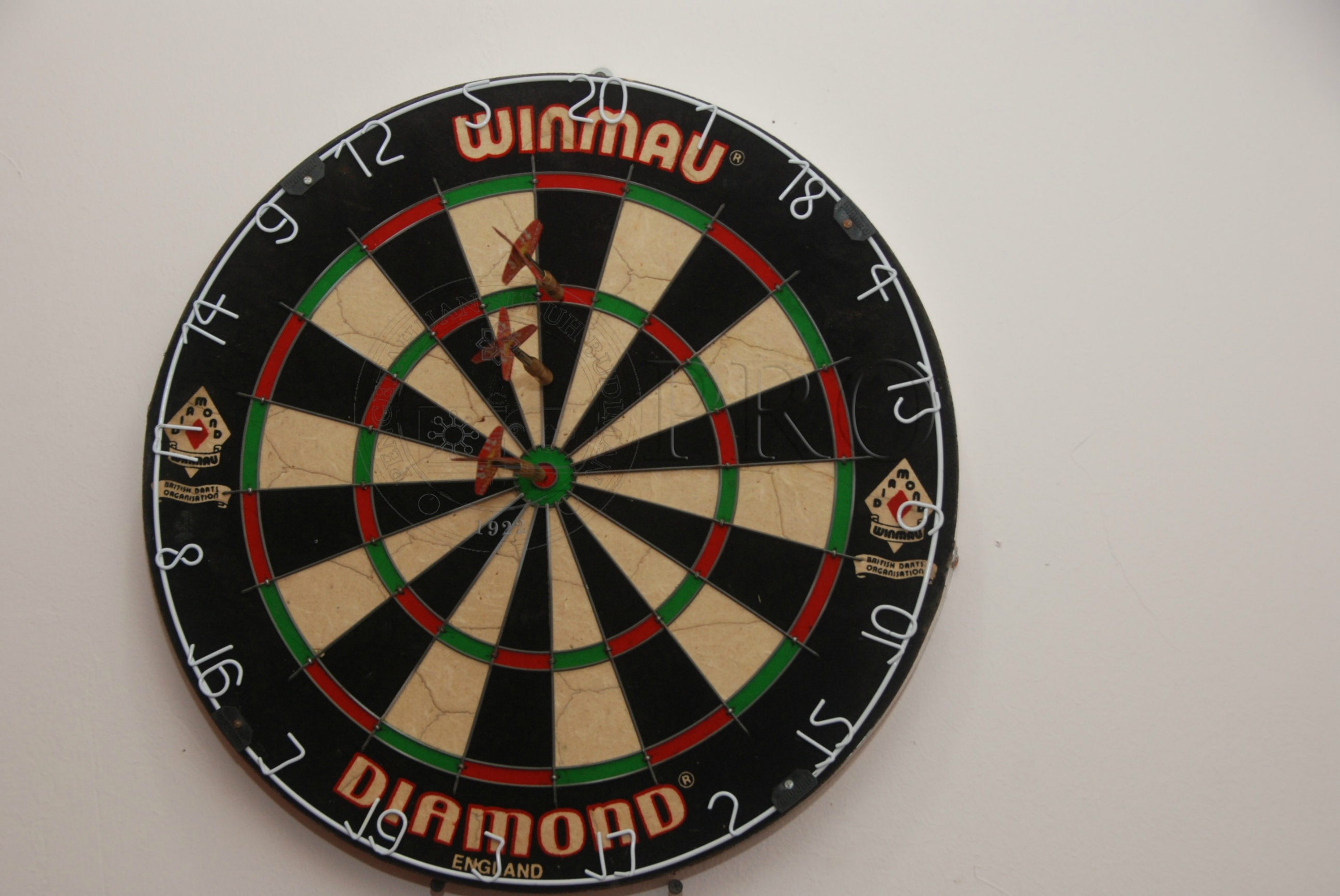 PRO 12 136 food DSC 9224